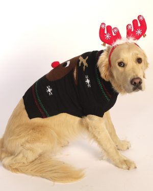 Hundens Julesweater Sort 3D Juletøj