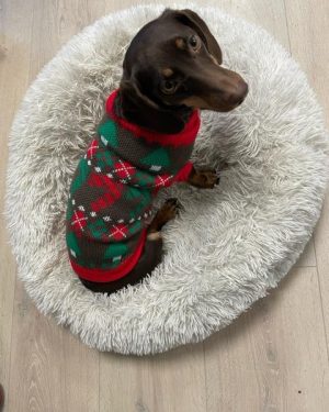 Hundens Julesweater – Brun Juletøj