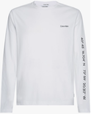 Calin Klein logo coordinates ls t-shirt_Medium Calvin Klein t-shirt & polo