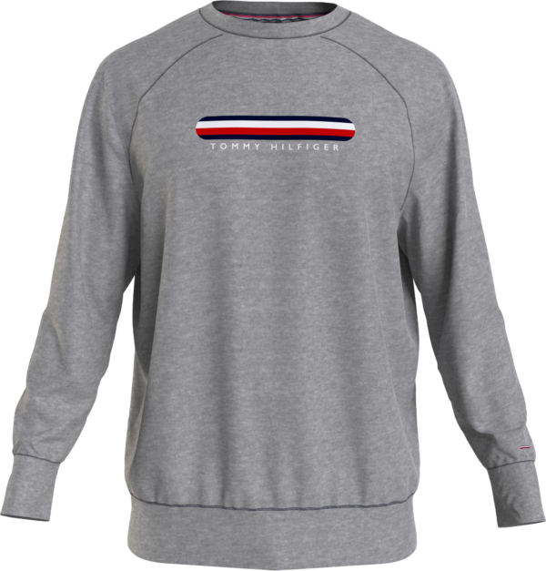 Tommy Hilfiger sweatshirt_Small Tommy Hilfiger strik & sweat