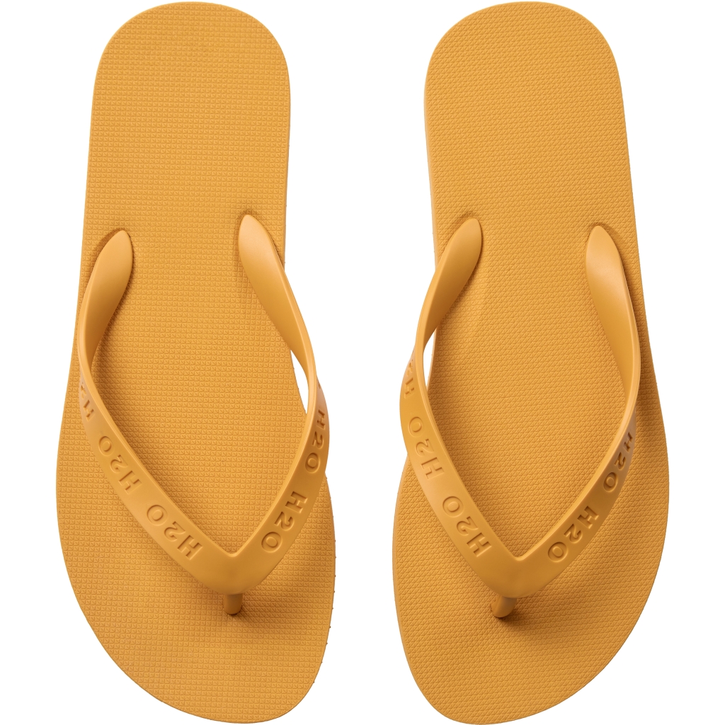 H2o Flip Flop