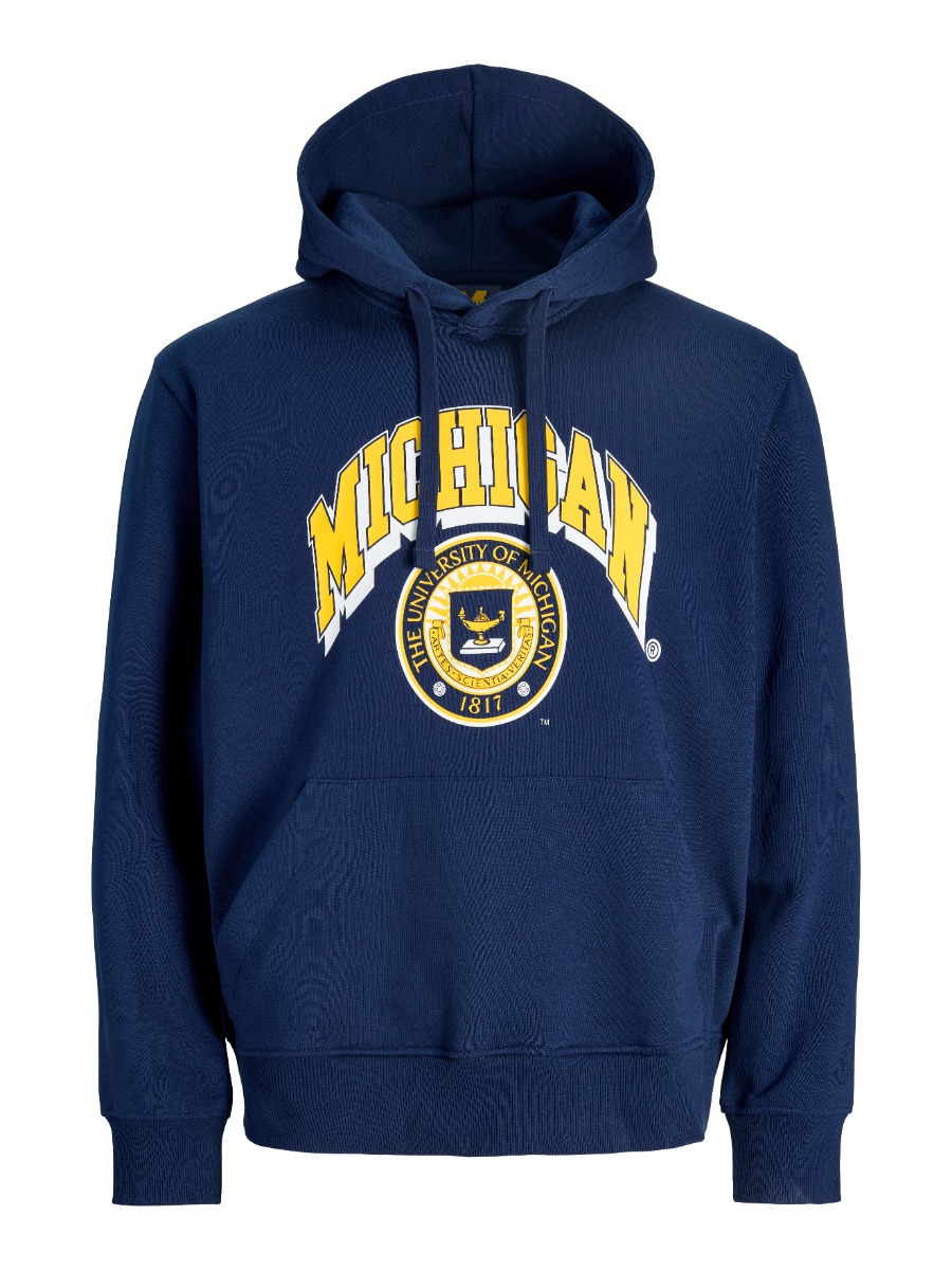 Jack & Jones Hoodie