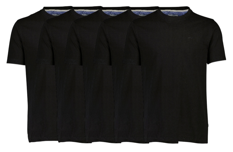 Bison 5-pak T-shirt 80-40000-black
