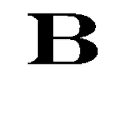 Bison
